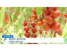 佛山市兩會關注數字農業，構建鄉村振興的數字藍海